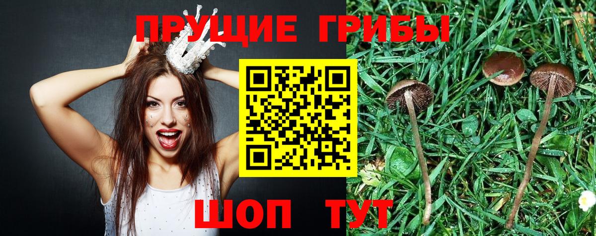 Галлюциногенные грибы MAGIC MUSHROOMS Семёнов